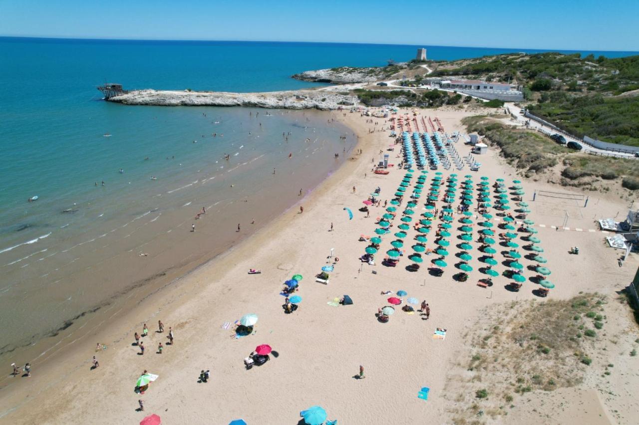 Villaggio Turistico Scialmarino Vieste Exteriör bild