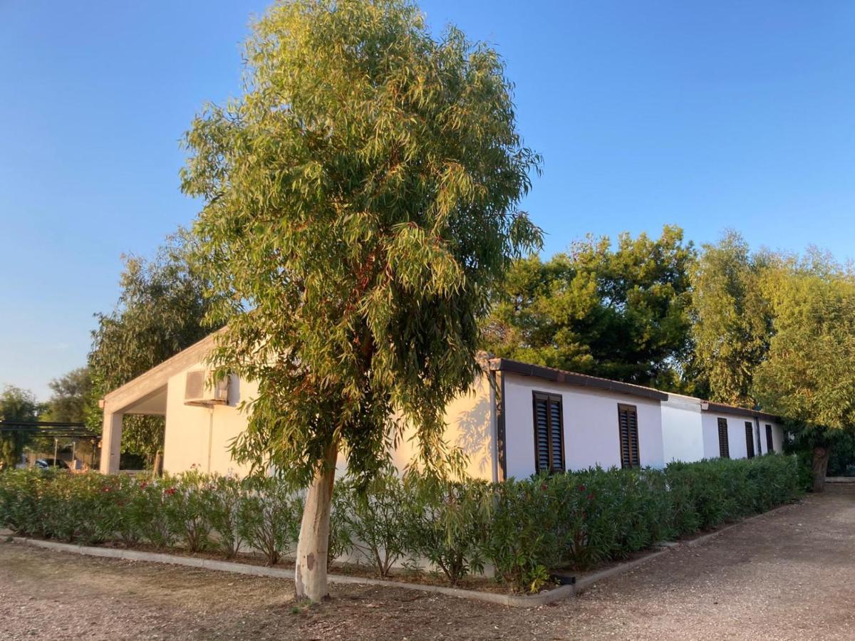 Villaggio Turistico Scialmarino Vieste Exteriör bild
