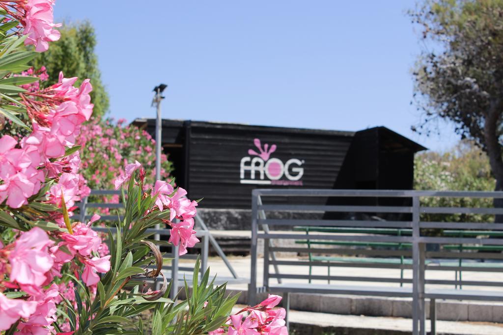 Villaggio Turistico Scialmarino Vieste Exteriör bild